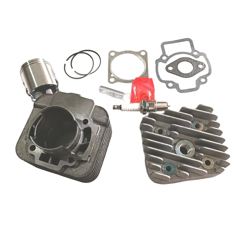 OEM 2-السكتة الدماغية لبياجيو  - مراجعة Motorcycle Cylinder وسعره